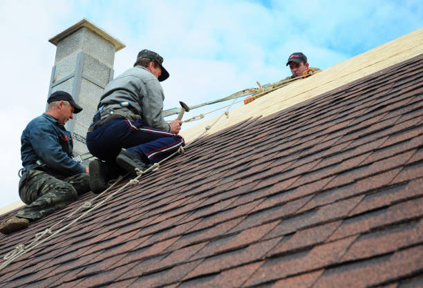 Gutter Installation and Roofing in Mill Creek East, WA